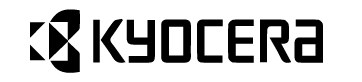 logo_koycera